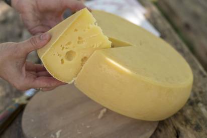 Kohlenhydrate und Zucker