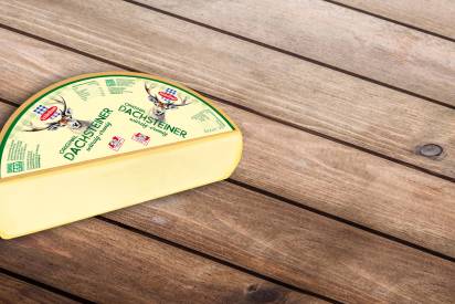 Das Bild zeigt den Schärdinger Dachsteiner im Halblaib